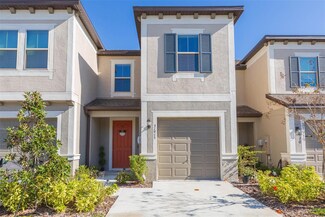 31915 Blue Passing Loop, Wesley Chapel, FL 33545