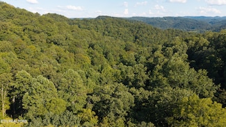 32.38  AC Off Panther Creek Rd, Sneedville, TN 37869