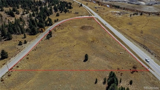 45 Platte River Dr Unit 2, Fairplay, CO 80440