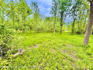 Parcel B Willow, Lansing, MI 48917
