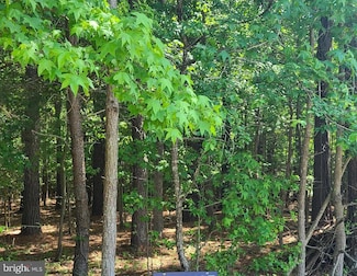 0 Rock Point Rd Unit MDCH2039770, Newburg, MD 20664