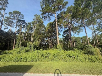 40 Dial Ave, Debary, FL 32713