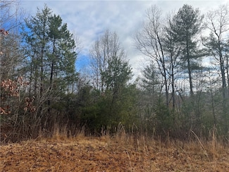 00 Davidian Way, Tamassee, SC 29686