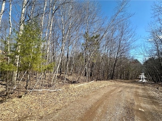 9.55+/- Acres Lot 10 290th Ave, Holcombe, WI 54745