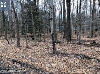 0 Timberlane Dr & Tamarack Trail Unit PM-120708, Albrightsville, PA 18210