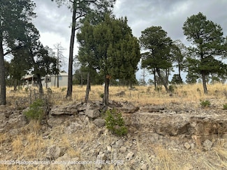 102 Avalon Ct, Ruidoso, NM 88345