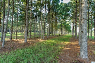 0 County Road 48 Unit 1 21430736, Jemison, AL 35085