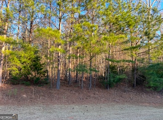 117 Gardens Dr, Forsyth, GA 31029