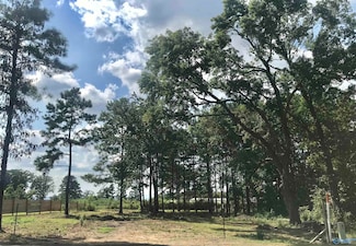 101 Ryan St, Section, AL 35771