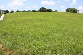 0 Zinc Rd, Bergman, AR 72601
