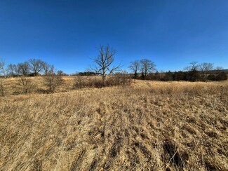 141 County Road 253, Armstrong, MO 65230