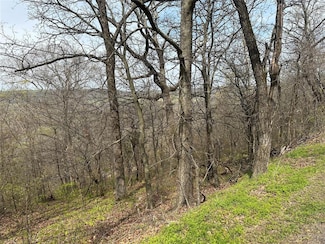 000 W Big Rock Rd, Cookson, OK 74451