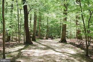 Parcel 45 Bryan Point Rd, Accokeek, MD 20607