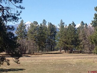 800 Echo Canyon Ranch Ln, Pagosa Springs, CO 81147