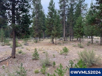 TL 1501 Friendly Ln, Crescent, OR 97733