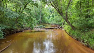 0 Fortune Hole Rd E Unit 24076071, Hamilton, GA 31811