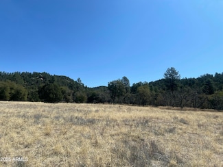 230 E Cline Crossing Unit C1-B, Young, AZ 85554