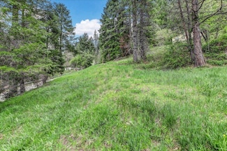 118 E River St, Downieville, CA 95936