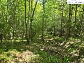 Lot 50 Deer Spring Ln White Tail Trail, West Jefferson, NC 28694