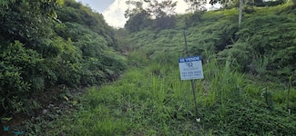 73 Estancia La Sierra, Aguas Buenas, PR 00703