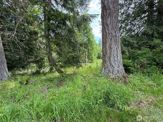 371 Rainier Ln, Port Ludlow, WA 98365