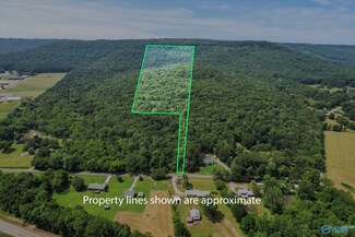 SITE 1A&1B All Jersey Rd, Somerville, AL 35670