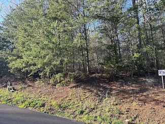 Lot 2 Timber Trail, Newport, TN 37821