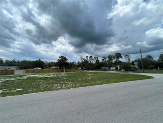 28245 Bougainvillea Ave, Paisley, FL 32767