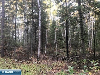 xxxx Highway 5, Cook, MN 55723