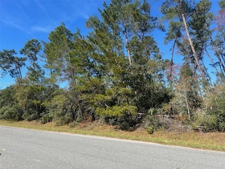 TBD SW 112th St, Ocala, FL 34476