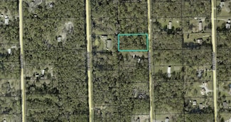1230 Honeytree St, Bunnell, FL 32110