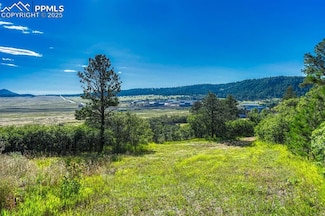 00 Columbine Rd, Larkspur, CO 80118