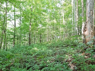 815 Days Run Rd, Fairview, WV 26570