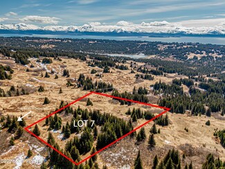 L7 Salin's Spur Rd, Homer, AK 99603