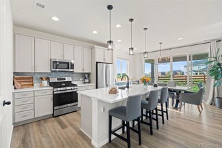 21 N Edge Cliff St, Castle Rock, CO 80104