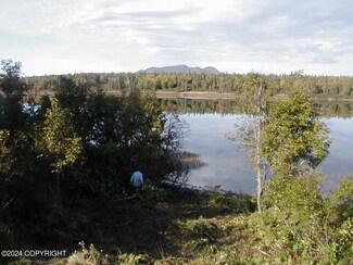 L18 B3 No Rd, Skwentna, AK 99667