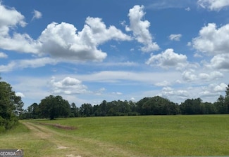 35+ ACRES Wells Rd, Hinesville, GA 31313