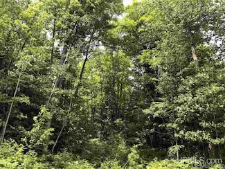 Lot H Maple Wood Ln, Gwinn, MI 49841