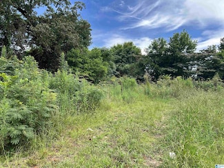 204 Stapp Ave SW Unit 1, Bessemer, AL 35022