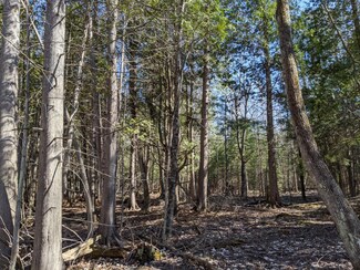 0 Gorman Rd Unit Parcel 2 318345, St. Ignace, MI 49781
