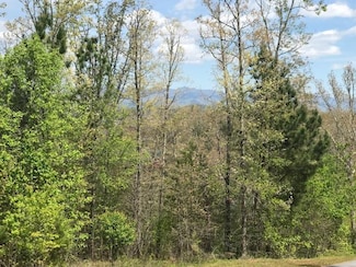 Lot 29 Highland St, Murphy, NC 28906