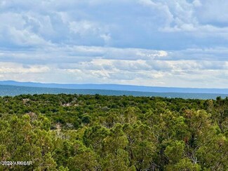 2736 Rebel Yell Rd, Snowflake, AZ 85937