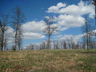 0 E 13 Acres On 590 Rd Unit 729690, Watts, OK 74964