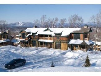 4 Dogwood Trail Unit 4B, Stratton, VT 05360
