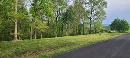TBD Longview Meadow Dr, Buena Vista, VA 24416