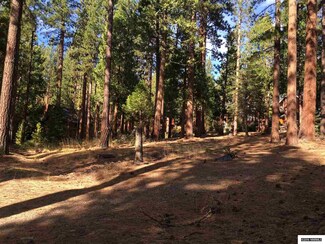 2138 the Back Rd, Glenbrook, NV 89413