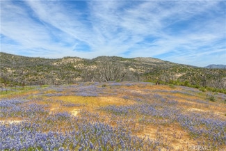 0 Harrison Springs Rd, Berry Creek, CA 95916