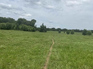 TBD County Road 2314, Pittsburg, TX 75686