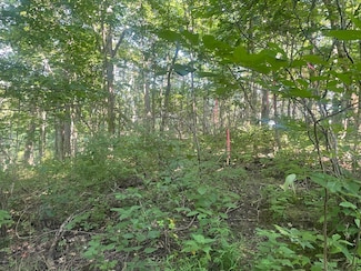 10625 St Rd 262, Dillsboro, IN 47018