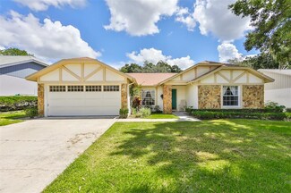 615 Rapid Falls Dr, Brandon, FL 33511